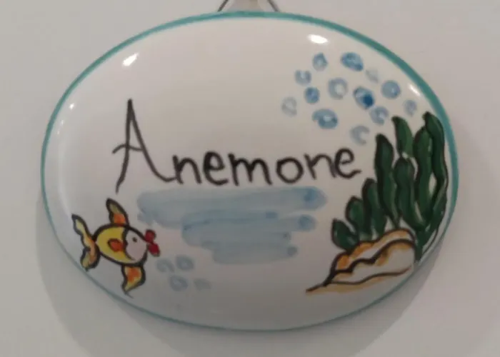 Due Stanzulelle Salernes